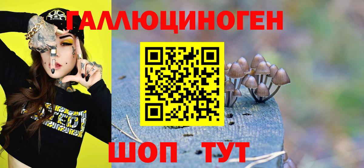 Галлюциногенные грибы Psilocybine cubensis  Вход с VPN  Балтийск 